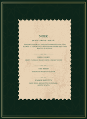 Noir – Luxury Unisex Fragrance By SAQUESSENCE